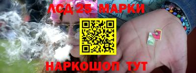 гашик Кинель