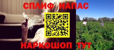 дживик Кимры