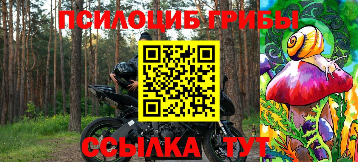 Галлюциногенные грибы MAGIC MUSHROOMS Волхов